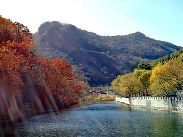 正版澳门天天开彩大全，深圳市屏风